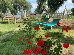 Juniperus Village House