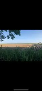 Stacaravan Het Zicht - Scherpenisse