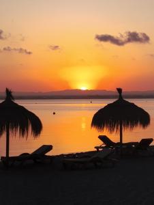 Taray Flamingo Beach