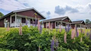 Glad hund - Bäckefors