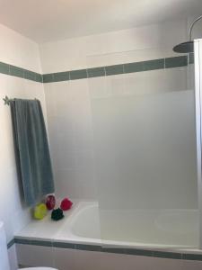 Taray Flamingo Beach