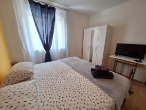 Apartmani Eškinja