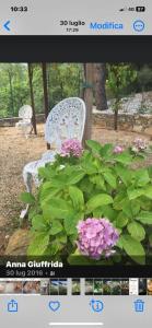 Villa Elianna in una oasi marina