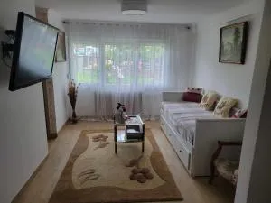 Appartement Entre Strasbourg Et Colmar - Proche d'Europa Park - Kertzfeld