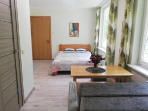 Šalia Birutės parko 2