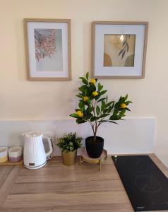 Apartamenty Piekary 11 przy Wiśle by Rentoom