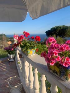 Villa Elianna in una oasi marina