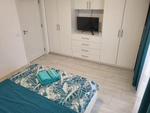 Apartament Alex, Dem Rădulescu