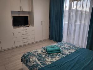 Apartament Alex, Dem Rădulescu