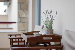ARMONIA HOME AT VIGGAS RESORT