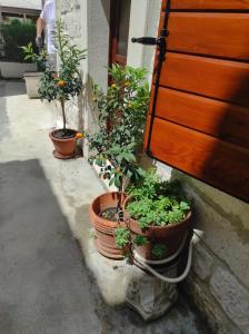 Old Town Stay by Ivo