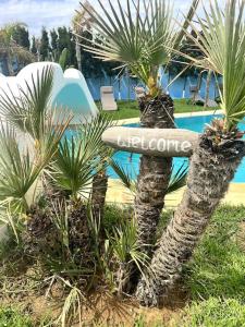 Villa Beach & Garden