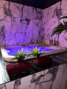 Marbella Logement privatif -Jacuzzi-Sauna - Solliès-Pont