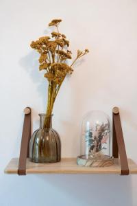 Appartements Le beau Lucien, climatise, central et fonctionnel : photos des chambres