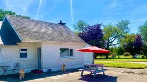 Nolans organic farm - Garrycullen