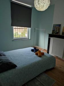 Chambre confortable avec un lit double à schaerbeek cle bleu