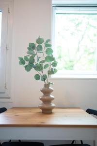 Appartements Villa Vicheia - Appartement 31 : photos des chambres