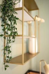 Appartements Villa Vicheia - Appartement 31 : photos des chambres