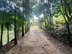 Sitio Mandaçaia - Vítor Hugo