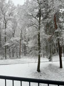 Apartament pod ŚWIERKIEM