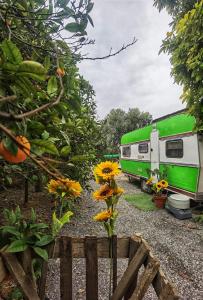 Caravan of Love by Casa das Artes