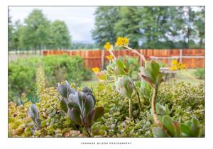 Stunning Cosy cottages close to SaniPass mountains with Wifi and Dstv