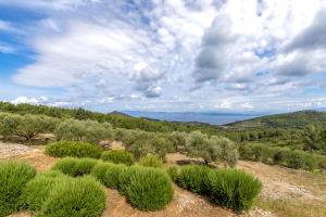 House of Freedom, Hvar