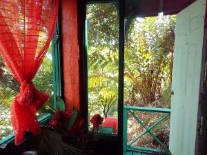 Blue Mountain Wilderness Retreat Jamaica House