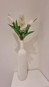 A Catania ...Casa Fabio