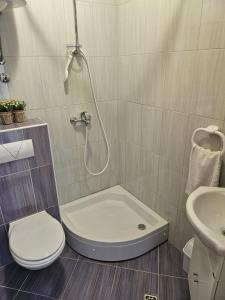 Apartments Andrijanić