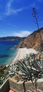 Risveglio sul mare img22