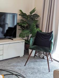 40 Handleys Elite Apartment