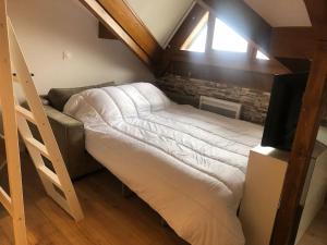 Appartements Studio au pied des pistes avec vue sur la vallee : photos des chambres