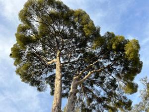 CassisCentre-pour famille-piscine plage - 4pers