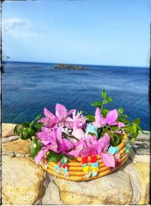 Ichnos experience room img20