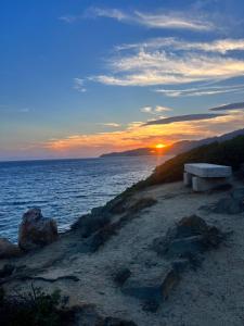 Ichnos experience room img24