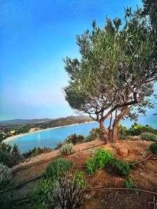 Ichnos experience room img27