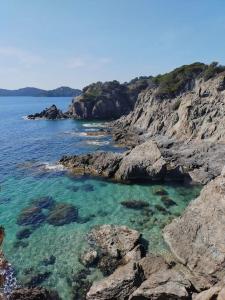 Appartements Appartement independant - Toulon - Les Routes : photos des chambres