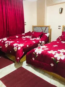 ستوديو فى سنتر المدينة - 坦塔