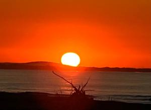 Maisons de vacances Pescad Home Maison 3 etoiles plein centre de Valras a 130m de la plage : photos des chambres