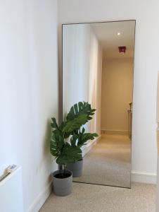 Number 43 Elite Apartment - Top Floor - Free Parking