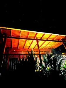 Alma Viajera Sapzurro - Acanti