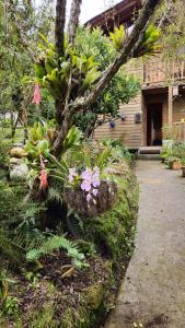 Beehouse Arví Cabaña