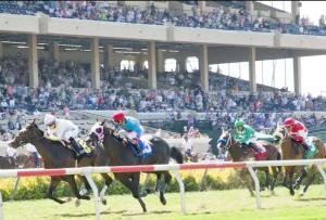 Sand Pebbles Resort - Amazing 2 Bedroom Condo Right by the Beaches & Attractions