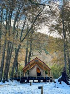 Casa del Árbol - Glamping