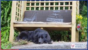 Ferienhaus Kaiserblick