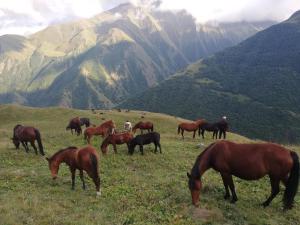 Fortress House Khakhabo
