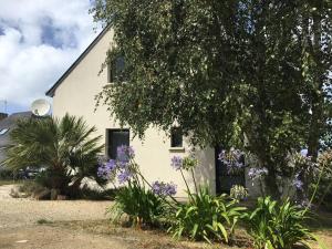 Appartement avec terrasse, WIFI à 100m de la plage à Trébeurden - FR-1-368-424