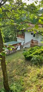 Šumska Kosmaj - Pružatovac