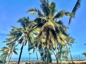 Homestay Vitamin SEA - View Biển Phú Quý